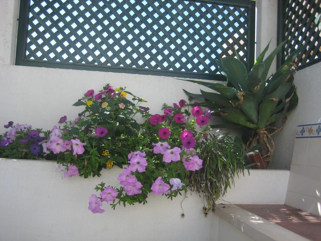 A Casinha Areia Branca Exterior foto